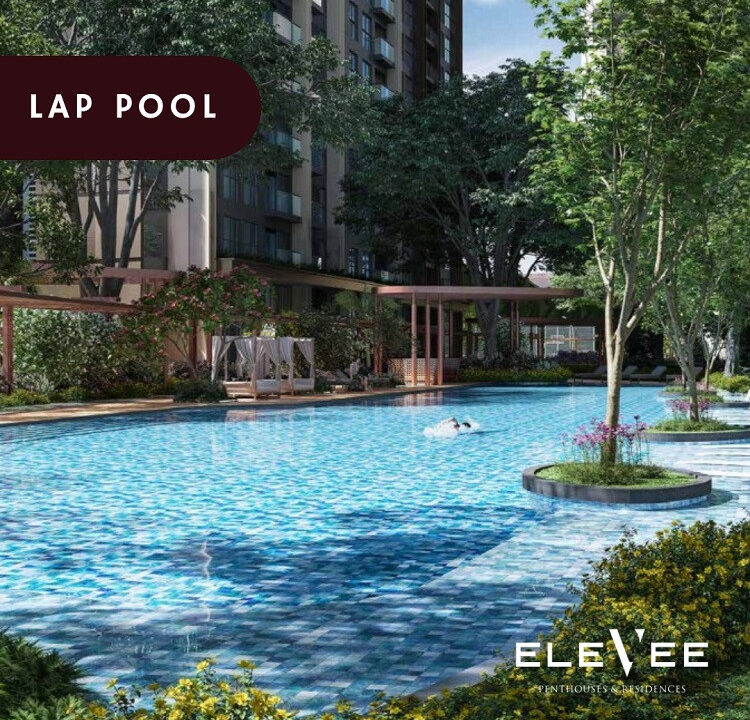 lap-pool-elevee